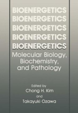 Bioenergetics