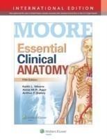 Essential Clinical Anatomy 5th Ed.