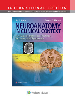 Neuroanatomy in Clinical Context