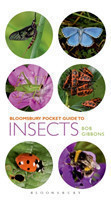 Pocket Guide to Insects