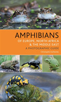 Amphibians of Europe, North Africa and the Middle East A Photographic Guide