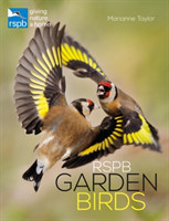 RSPB Garden Birds