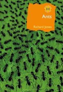 Ants