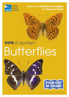 RSPB ID Spotlight - Butterflies