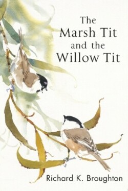 Marsh Tit and The Willow Tit