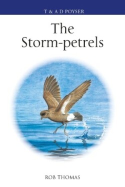 Storm-petrels