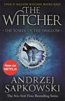 Tower of the Swallow (Witcher 4)