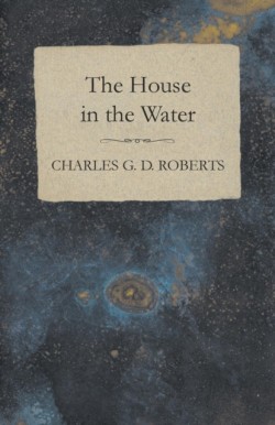 House in the Water