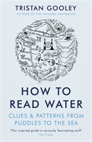 How To Read Water Clues & Patterns from Puddles to the Sea