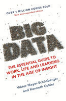 Big Data : The Essential Guide to Work, Life and Learning in the Age of Insight