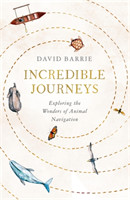 Incredible Journeys