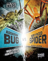 Assassin Bug vs Ogre-Faced Spider