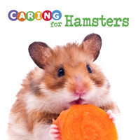 Caring for Hamsters