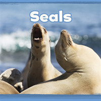 Seals