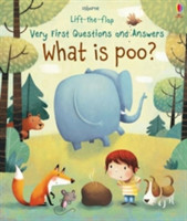 What is Poo?