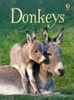 Maclaine, James - Donkeys