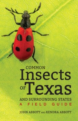 Common Insects of Texas and Surrounding States