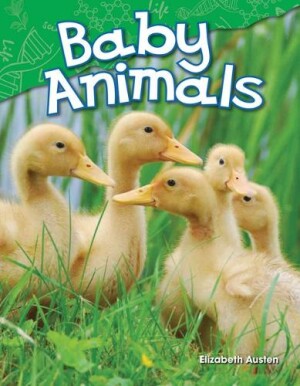 Baby Animals