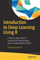 Introduction to Deep Learning Using R*