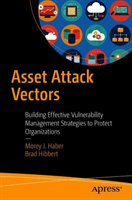 Asset Attack Vectors