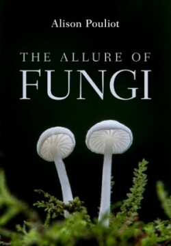 Allure of Fungi