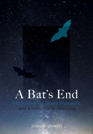Bat’s End