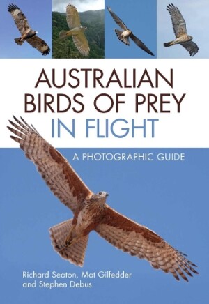 Australian Birds of Prey in Flight