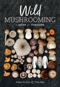 Wild Mushrooming