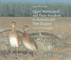 Quail, Buttonquail and Plains-wanderer in Australia and New Zealand