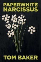 Paperwhite Narcissus