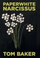 Paperwhite Narcissus