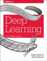 Deep Learning A Practitioner's Approach