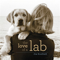 Love of a Lab