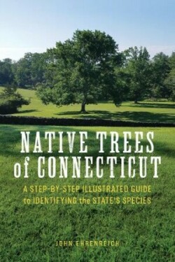 Native Trees of Connecticut