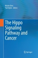 Hippo Signaling Pathway and Cancer