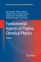 Fundamental Aspects of Plasma Chemical Physics