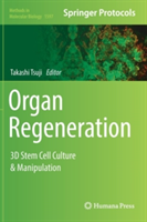Organ Regeneration