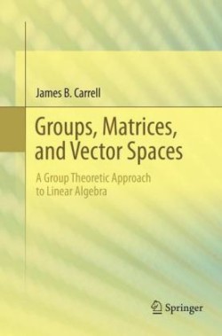 Groups, Matrices, and Vector Spaces