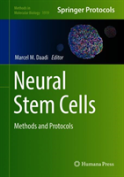 Neural Stem Cells
