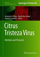 Citrus Tristeza Virus