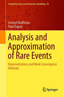 Analysis and Approximation of Rare Events