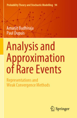 Analysis and Approximation of Rare Events