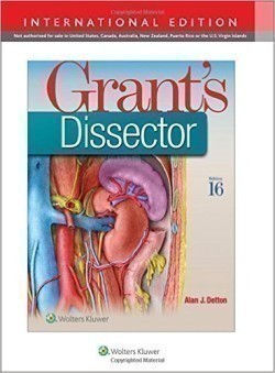 Grant's Dissector, 16th ISE