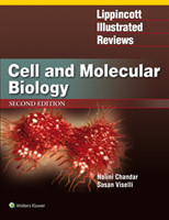 Lippincott Illustrated Reviews: Cell and Molecular Biology