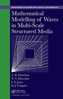 Mathematical Modelling of Waves in Multi-Scale Structured Media