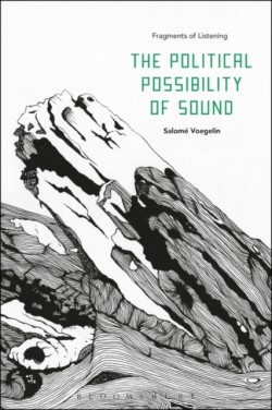 Political Possibility of Sound