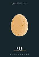 Egg (Object Lessons)