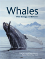 Whales Their Biology and Behavior