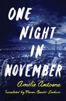 One Night in November