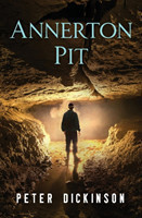 Annerton Pit